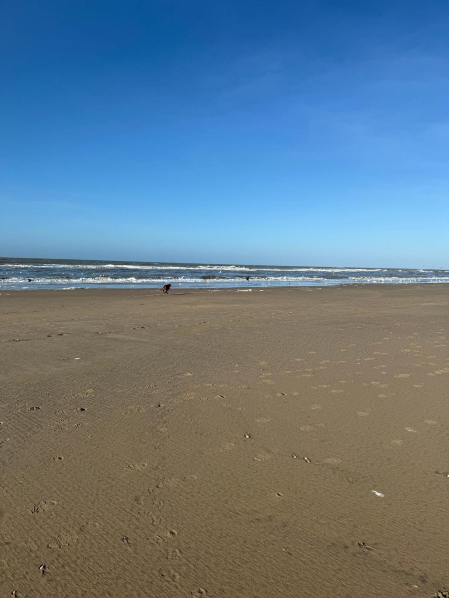 Guesthouse West Noordwijk Esterno foto