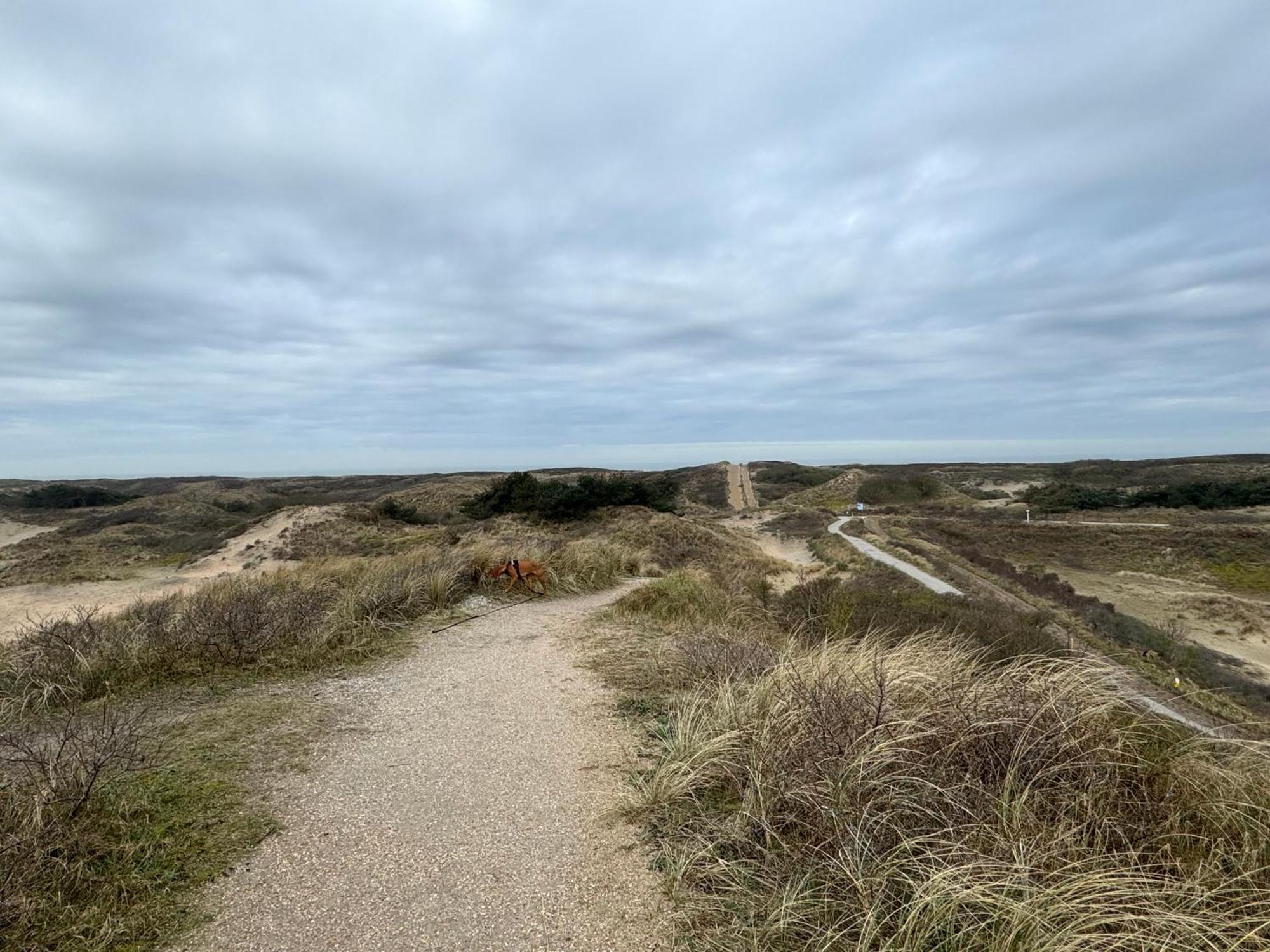 Guesthouse West Noordwijk Esterno foto