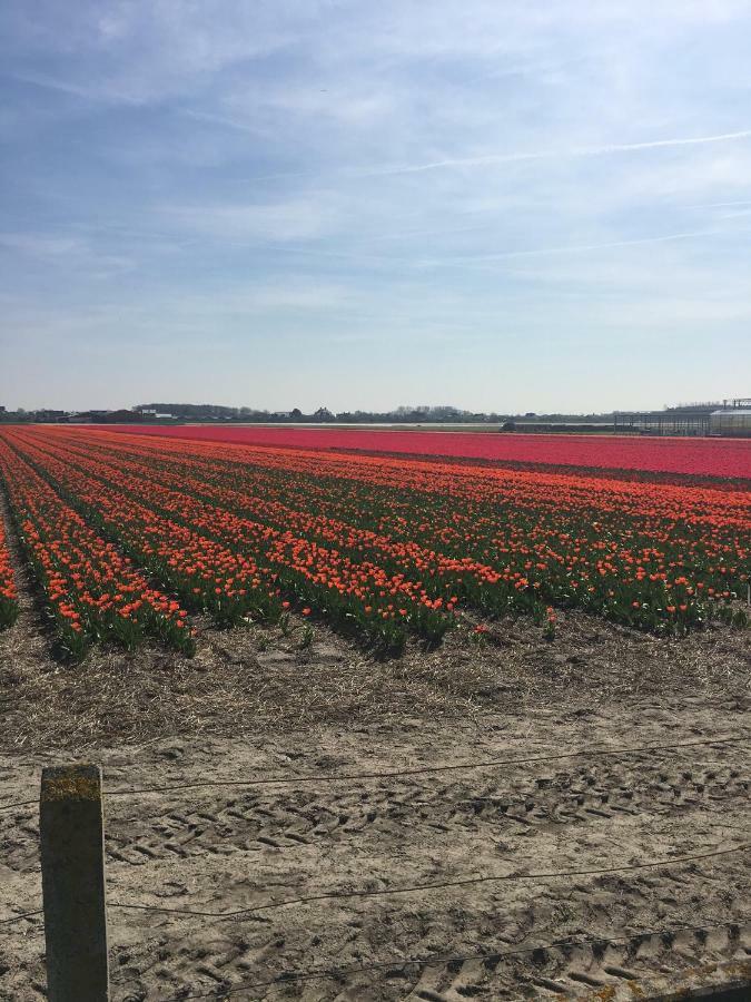 Guesthouse West Noordwijk Esterno foto